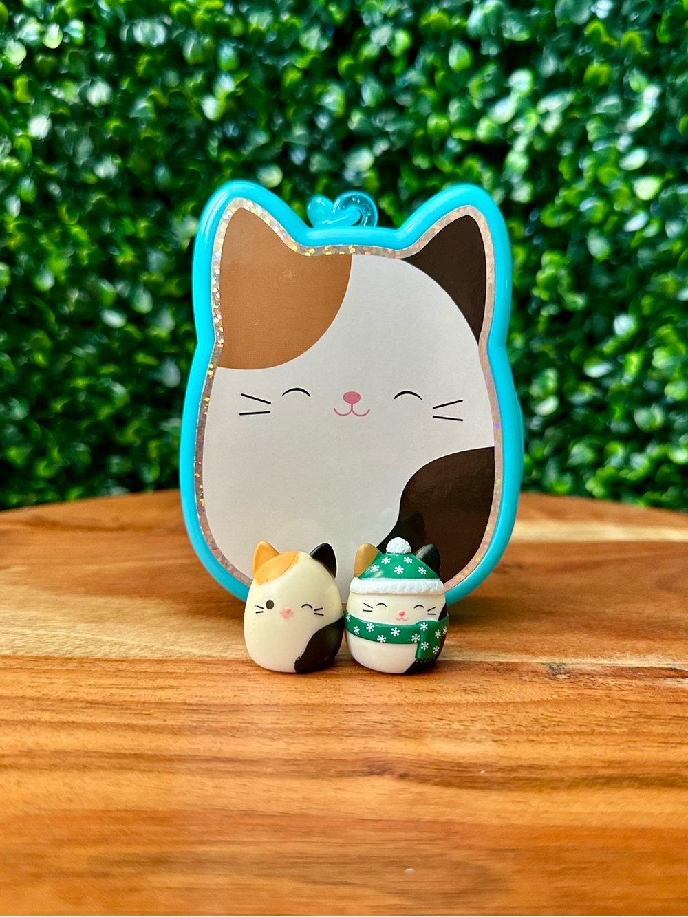 Squish-a-longs Cam the Cat Bundle